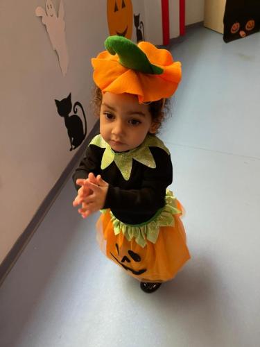 PHOTO-2024-10-18-17-22-00-37