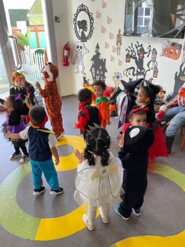 PHOTO-2024-10-18-17-22-00-4