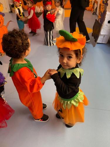 PHOTO-2024-10-18-17-22-00-40