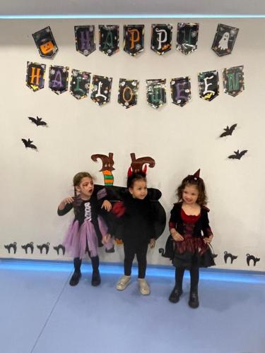 PHOTO-2024-10-18-17-22-00-72