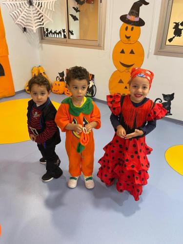 PHOTO-2024-10-18-17-22-00-73