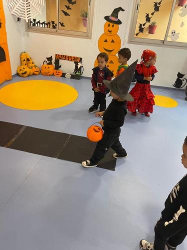 PHOTO-2024-10-18-17-22-00-75