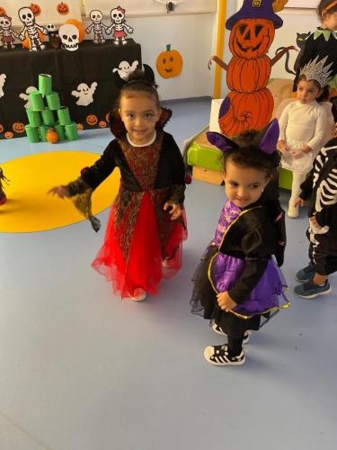 PHOTO-2024-10-18-17-22-00-8