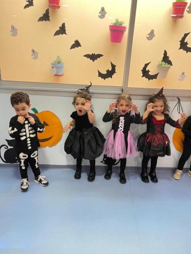 PHOTO-2024-10-18-17-22-00-87