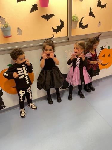 PHOTO-2024-10-18-17-22-00-89