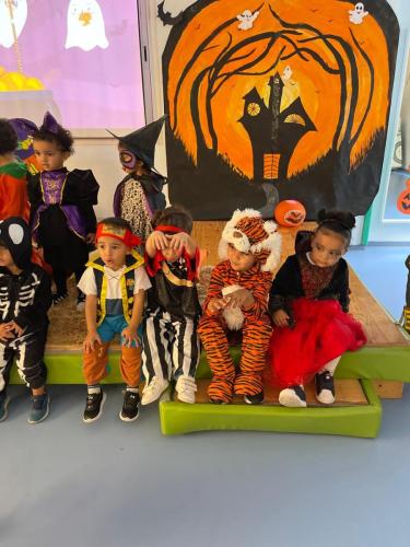 PHOTO-2024-10-18-17-22-00-9