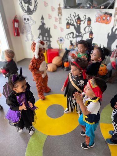 PHOTO-2024-10-18-17-22-00