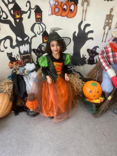 PHOTO-2024-10-18-17-23-56-18