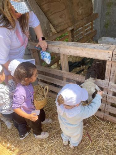 PHOTO-2025-04-09-08-55-55-2