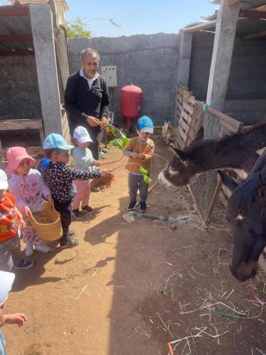 PHOTO-2025-04-09-08-55-55