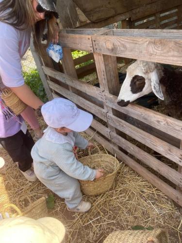 PHOTO-2025-04-09-08-55-56-2