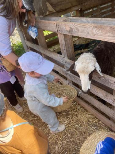 PHOTO-2025-04-09-08-55-56-3