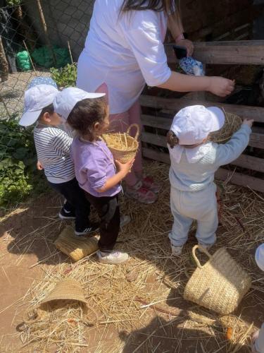 PHOTO-2025-04-09-08-55-56