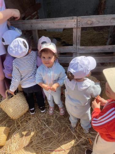 PHOTO-2025-04-09-08-55-57-10