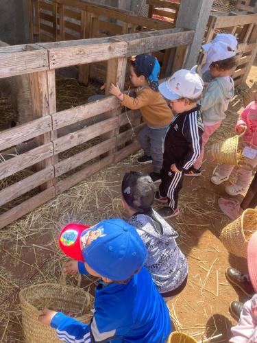 PHOTO-2025-04-09-08-55-57-11