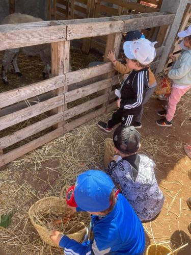 PHOTO-2025-04-09-08-55-57-12