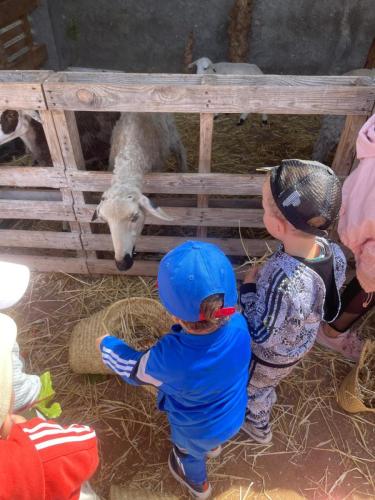 PHOTO-2025-04-09-08-55-57-13