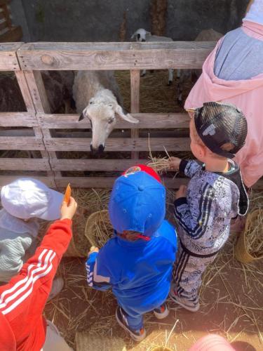 PHOTO-2025-04-09-08-55-57-14