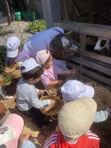 PHOTO-2025-04-09-08-55-57-16