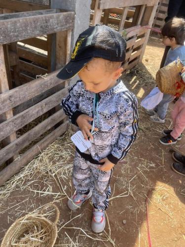 PHOTO-2025-04-09-08-55-57-2