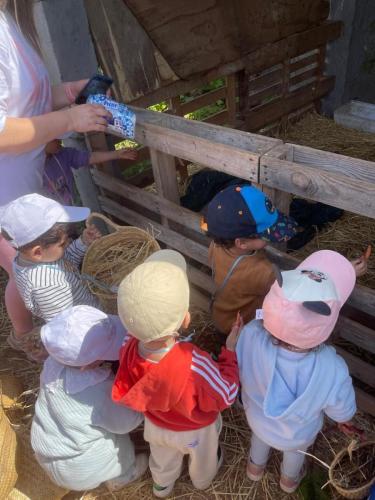 PHOTO-2025-04-09-08-55-57-26