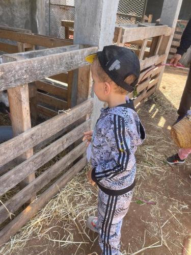 PHOTO-2025-04-09-08-55-57-3