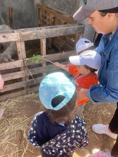 PHOTO-2025-04-09-08-55-57-4