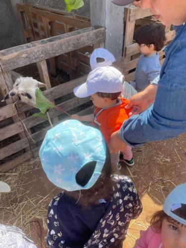 PHOTO-2025-04-09-08-55-57-5