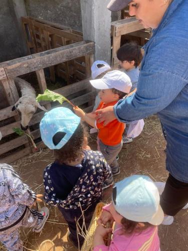 PHOTO-2025-04-09-08-55-57-6