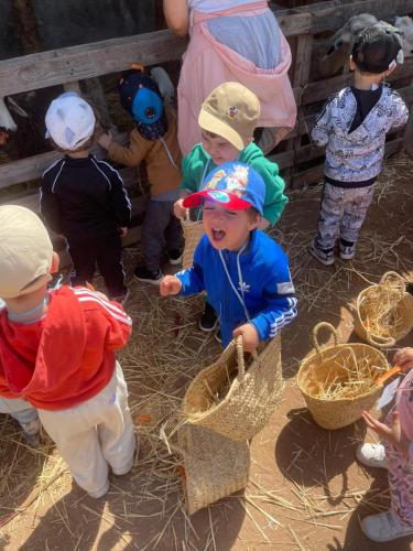 PHOTO-2025-04-09-08-55-57-7