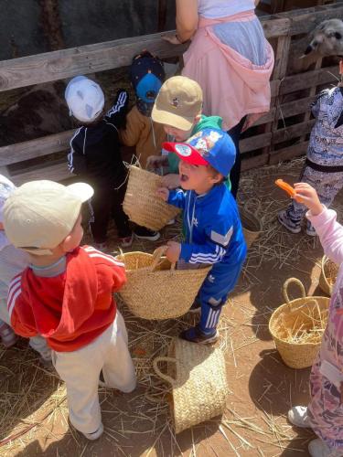 PHOTO-2025-04-09-08-55-57-8