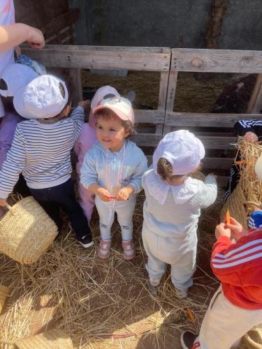 PHOTO-2025-04-09-08-55-57-9