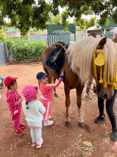 PHOTO-2025-04-10-19-21-51-37 (1) (1)