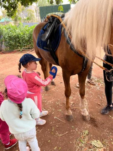 PHOTO-2025-04-10-19-21-51-41 (1) (1)