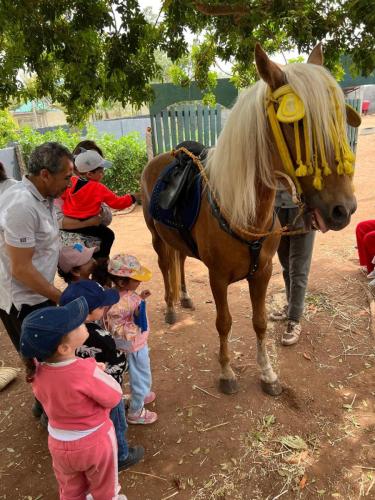 PHOTO-2025-04-10-19-21-51-47 (1) (1)