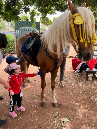 PHOTO-2025-04-10-19-21-51-48 (1) (1)