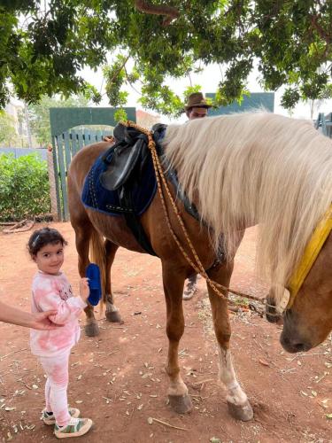 PHOTO-2025-04-10-19-21-51-52 (1) (1)