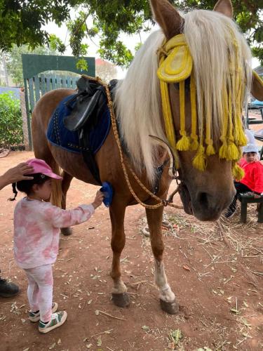 PHOTO-2025-04-10-19-21-51-55 (1) (1)