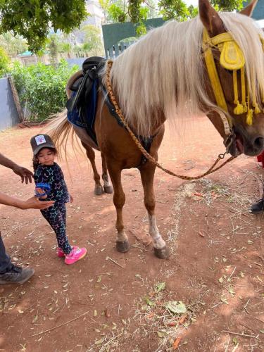 PHOTO-2025-04-10-19-21-51-64 (1) (1) (1)