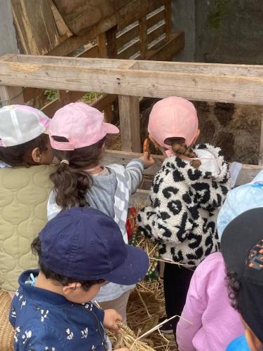 PHOTO-2025-04-10-19-42-11-6 (1) (1) (1)